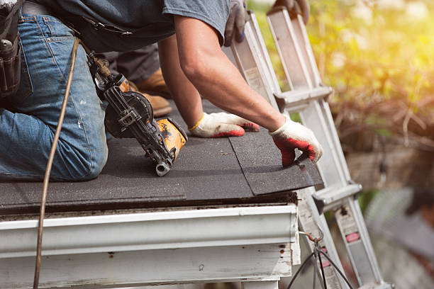 Best Local Roofing Companies  in Pistakee Highlands, IL