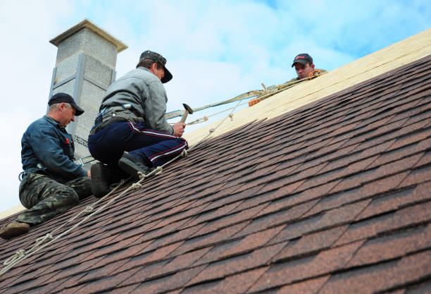 Best Storm Damage Roof Repair  in Pistakee Highlands, IL
